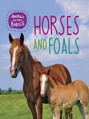 cover image of Horses and Foals